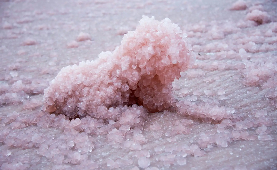 結(jié)晶體離心脫水機(jī)(圖1) undefined