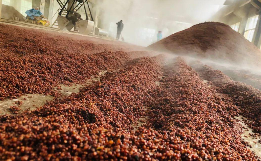 釀造廢醪脫水難點(diǎn)解析:臥螺離心機(jī)如何破局?(圖1) undefined