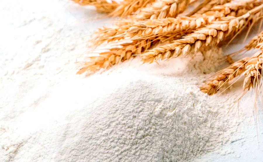 淀粉脫水技術與設備選擇指南